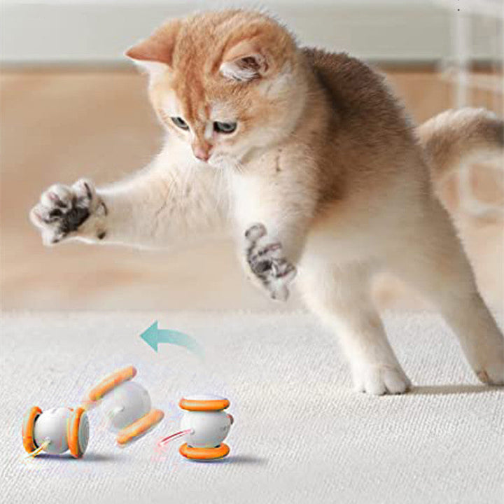 Discover the Joy of Playtime with the Electric Intelligent Pet Charging Interactive Teasing Toys