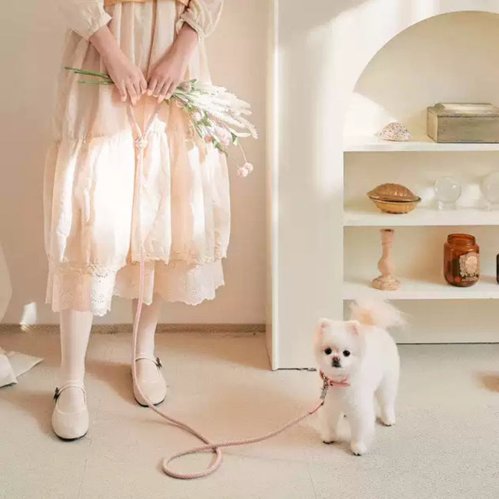 Elevate Your Pet's Style with Our Leather Pet Collar and Leash Set